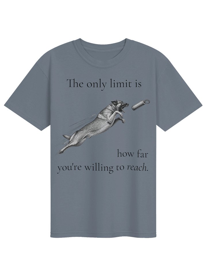 Only Limit Is How Far You're Willing to Reach product image (4)