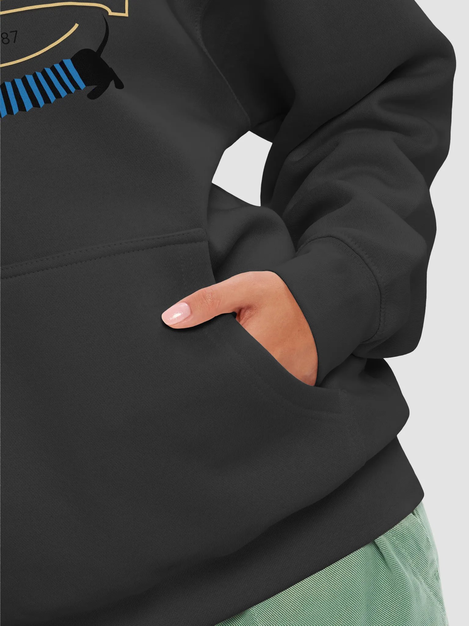 dachshund accordions product image (8)