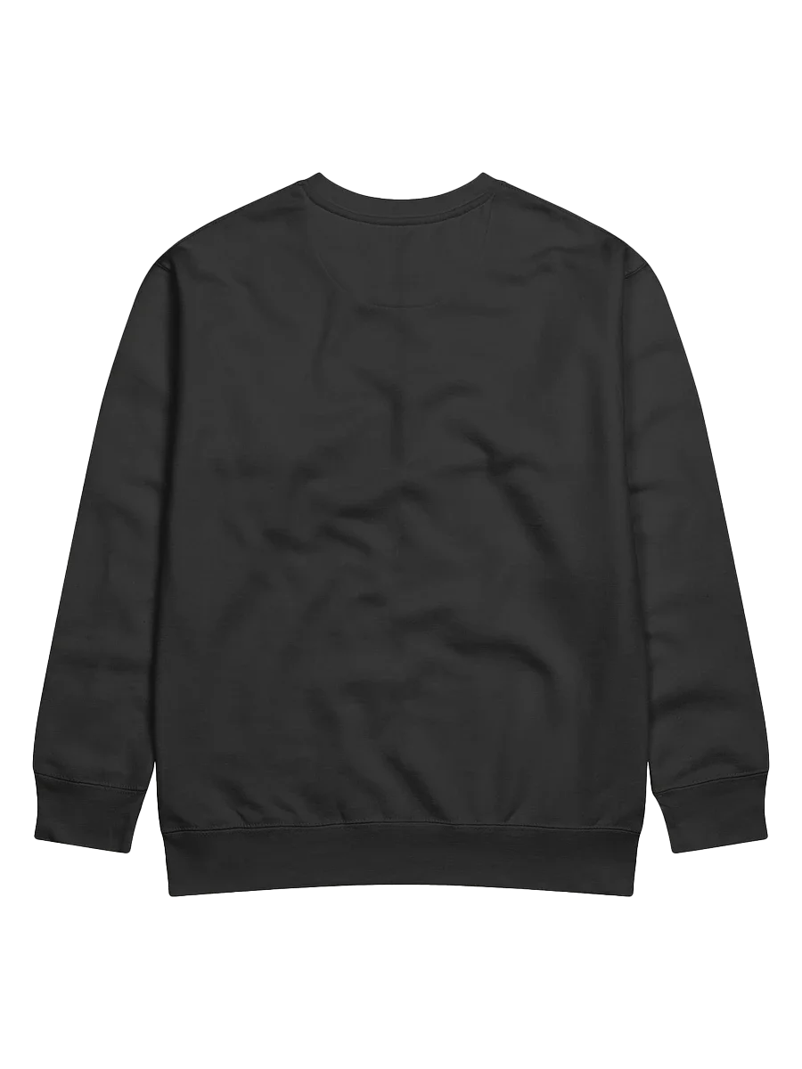 We Are Not Going Back Kamala Harris Campaign Supporter and Election Day Sweatshirt product image (2)