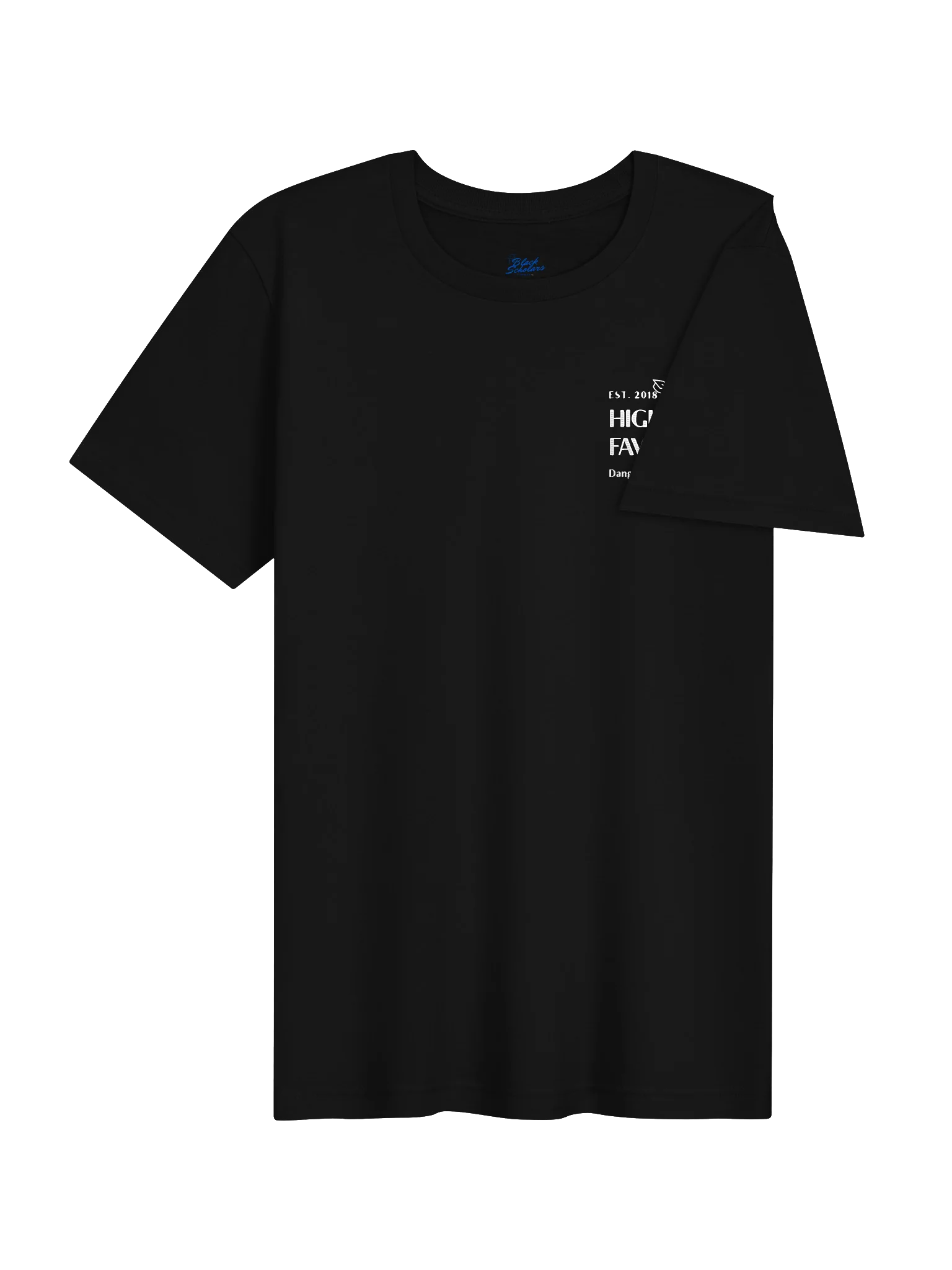 Highly Favored. Dangerously literate. Black tee. product image (4)