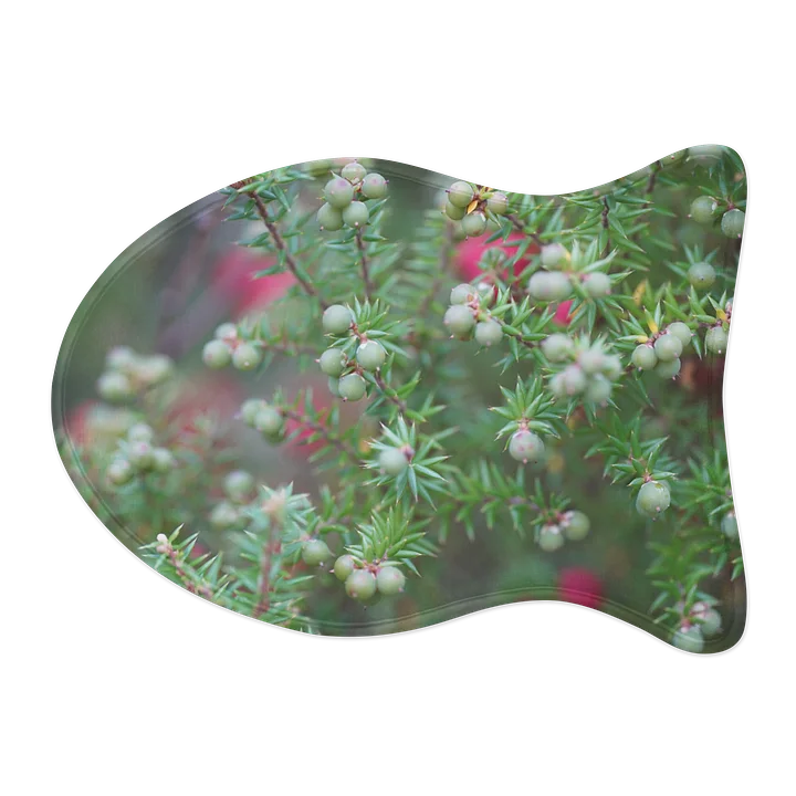 Plant with Berries Pet Feeding Mats product image (2)