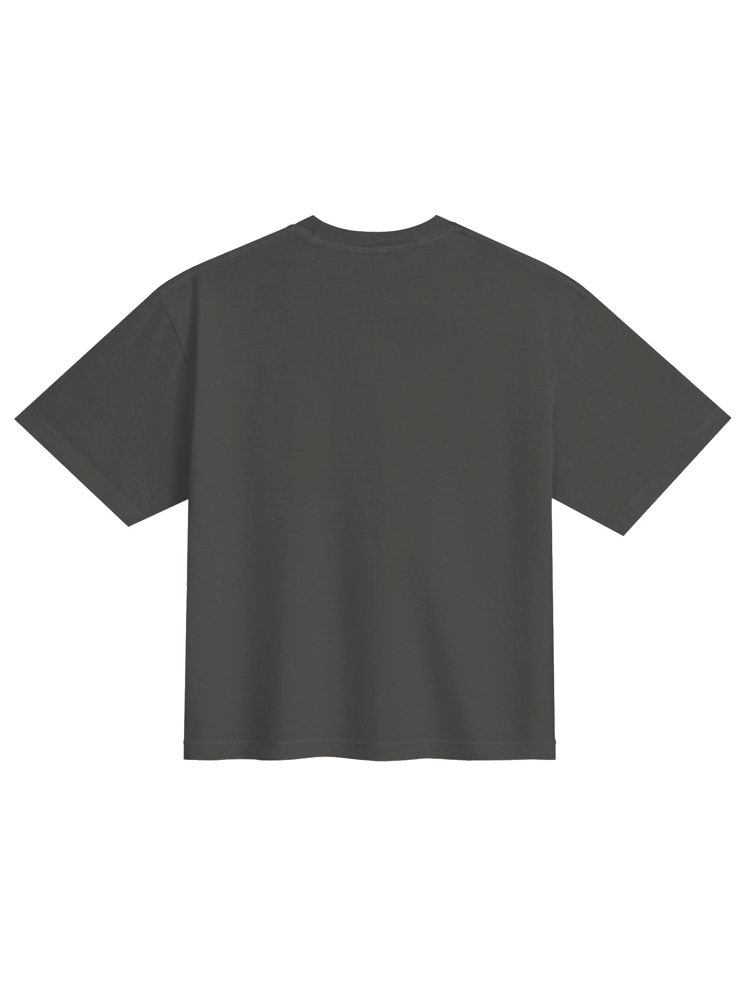 Caribbean Apples - CoCao West Indies Minimal | Women's Heavyweight Boxy T-Shirt product image (10)