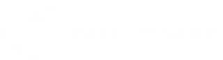Cryptic Art Matrix