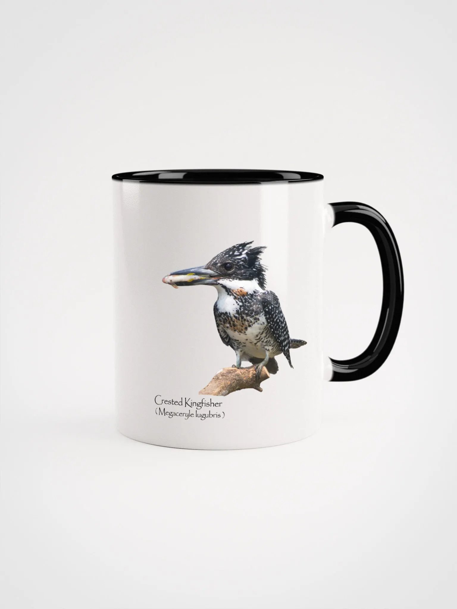 Crested Kingfisher mug product image (1)
