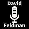 shopdavidfeldman.com