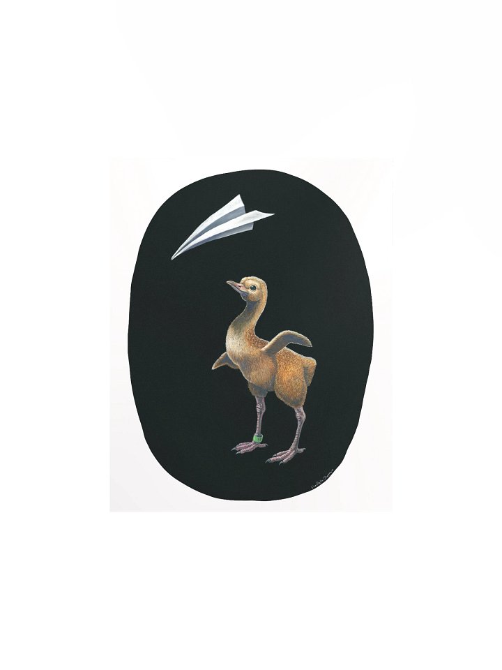 Assisted Migration (Whooping Crane) - Art Print product image (2)