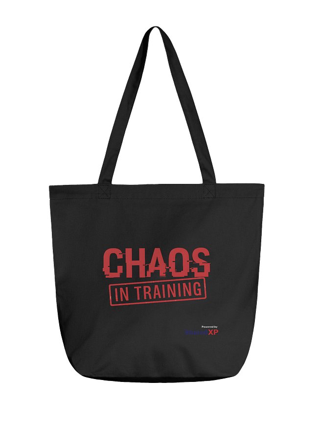 Chaos in Training