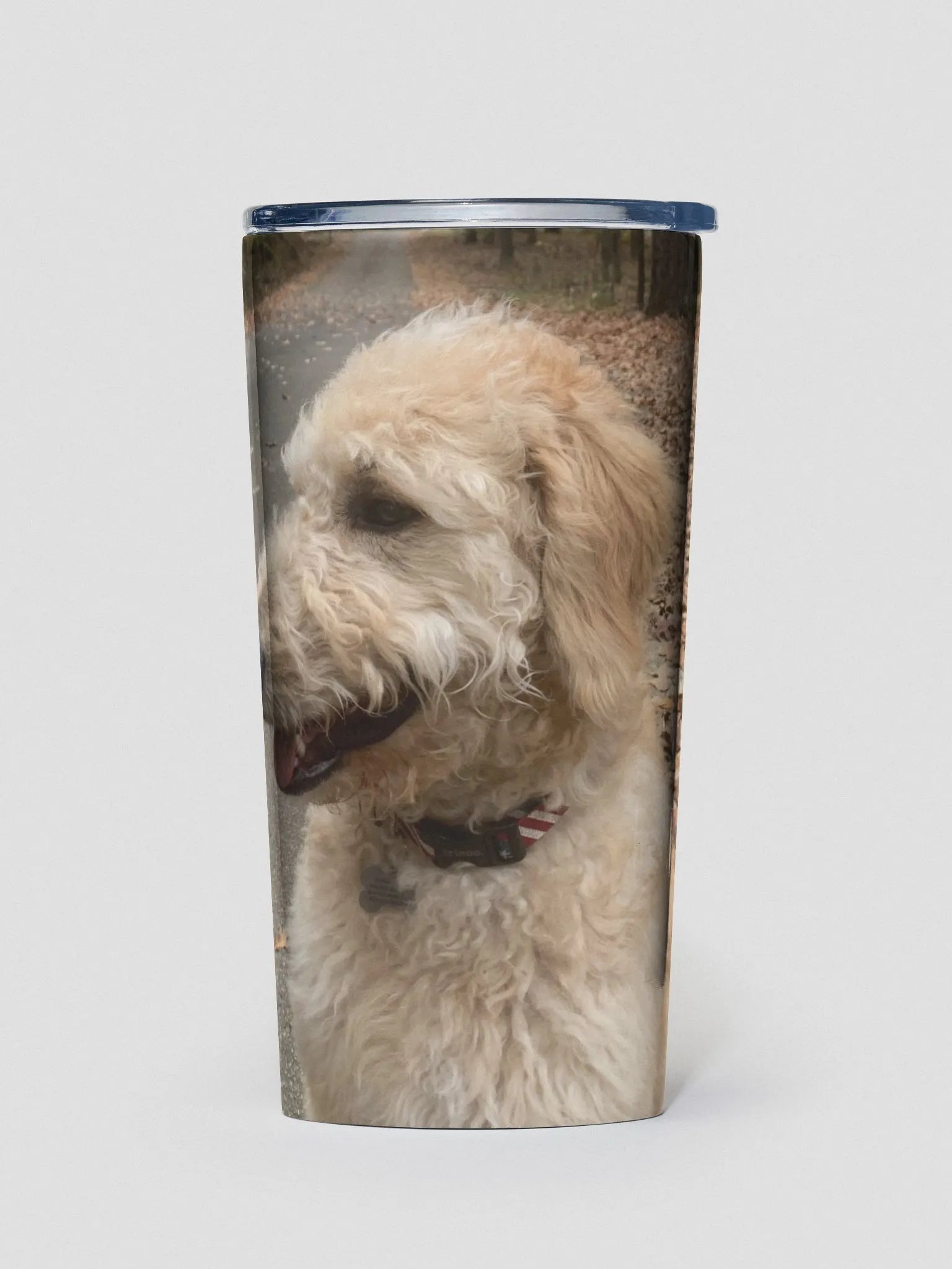 Ralph Tumber product image (1)