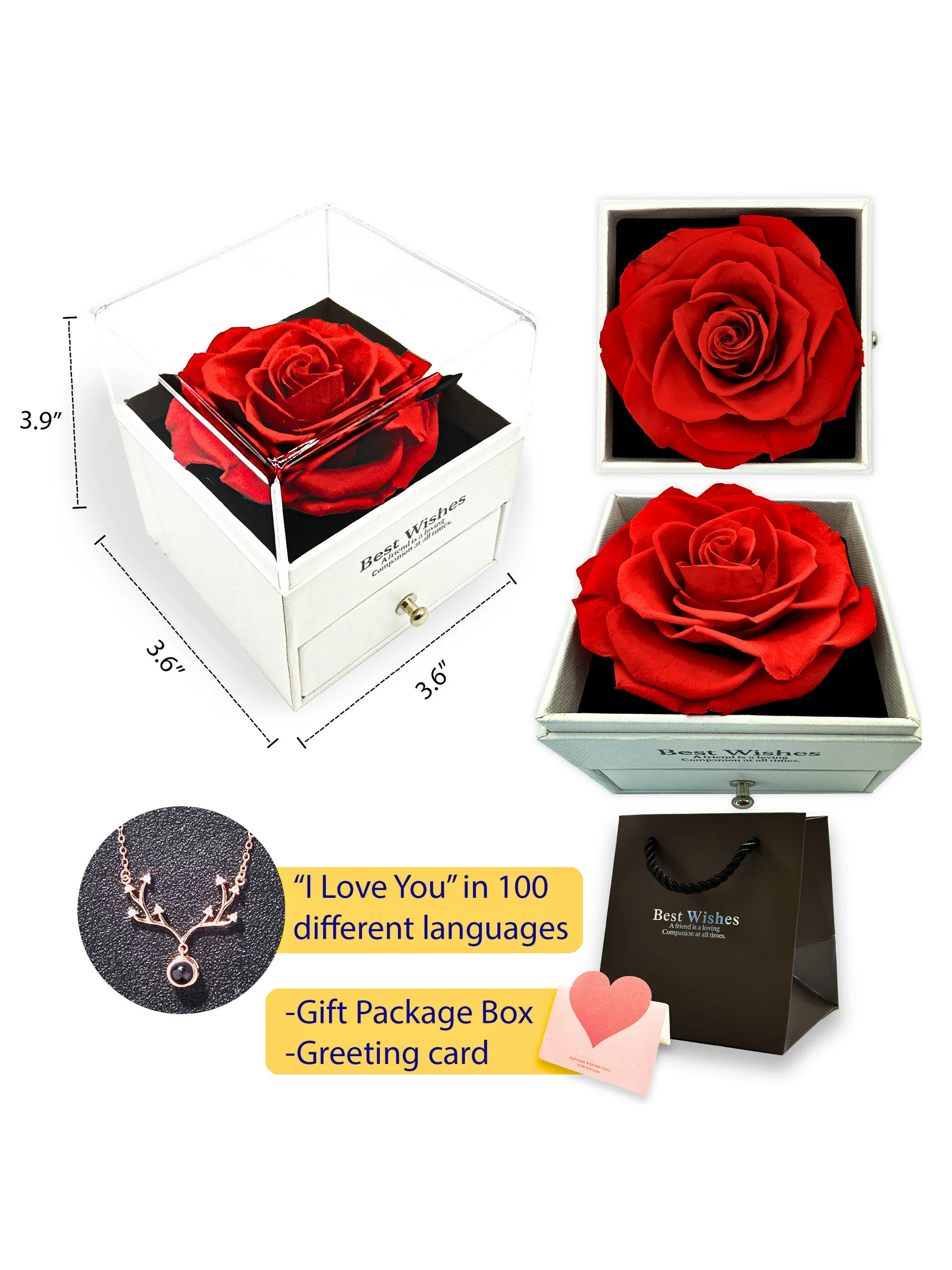 Eternal Rose Gift Box with "I Love You" Necklace (red) product image (1)