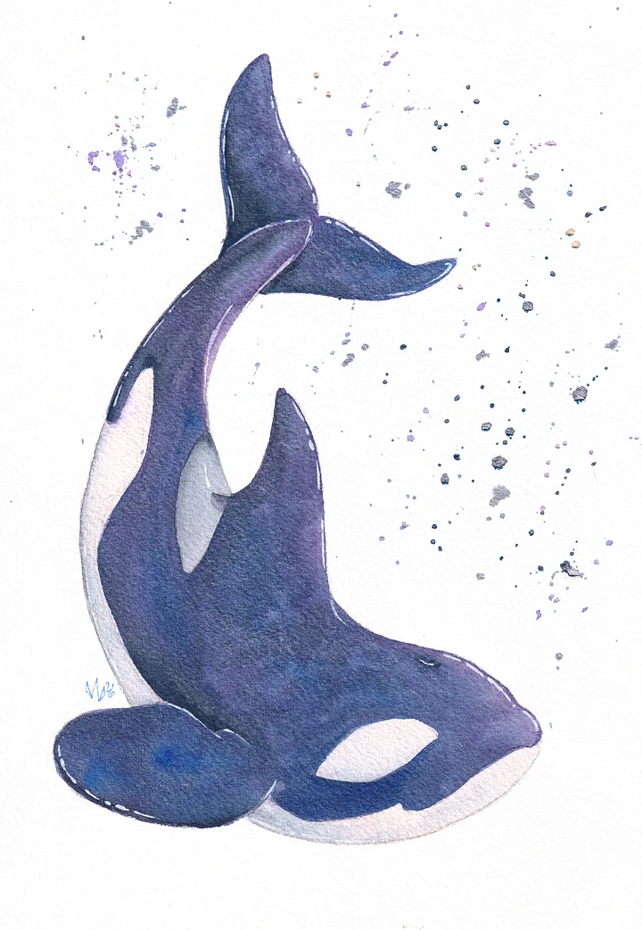 Blue and Purple Shimmer Orca product image (1)