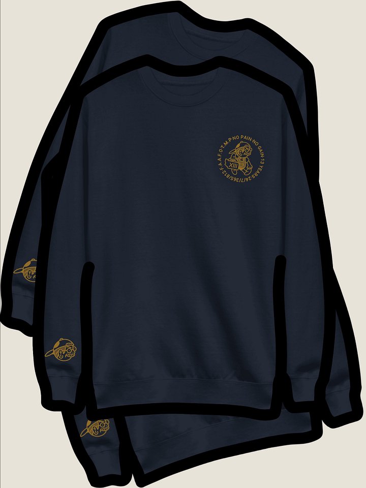 Navy and Gold product image (1)