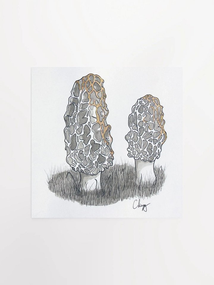 Morels Print product image (1)