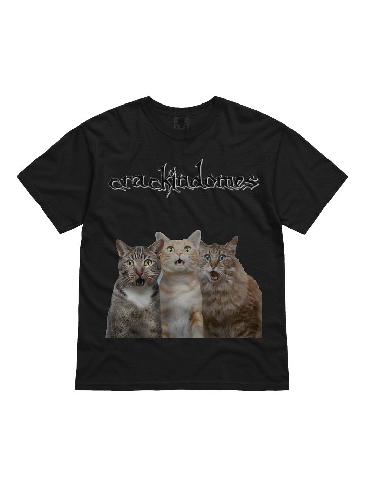 cat product image (1)