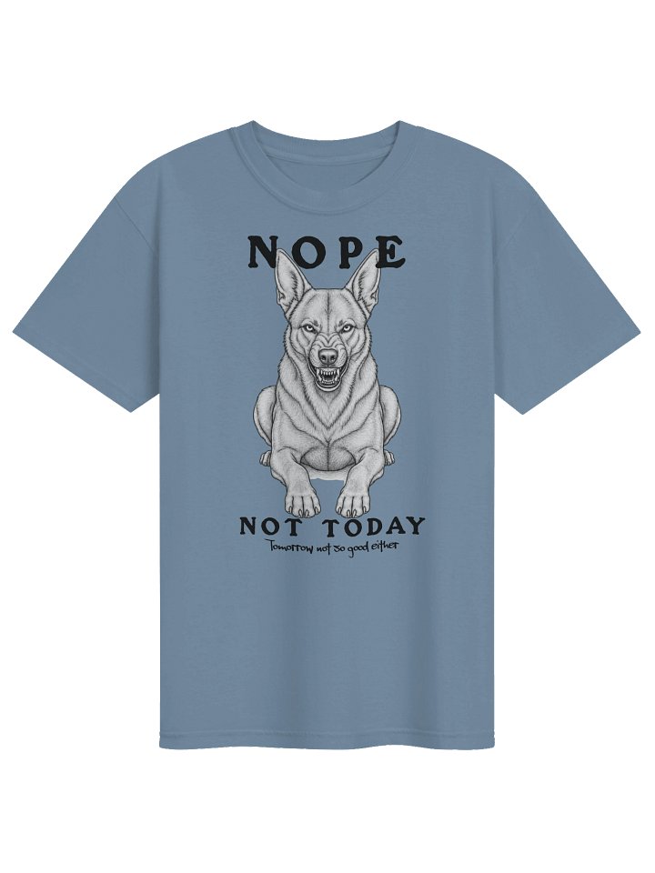 Nope Not Today product image (17)
