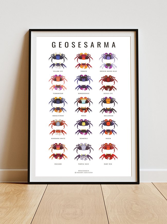 Posters
