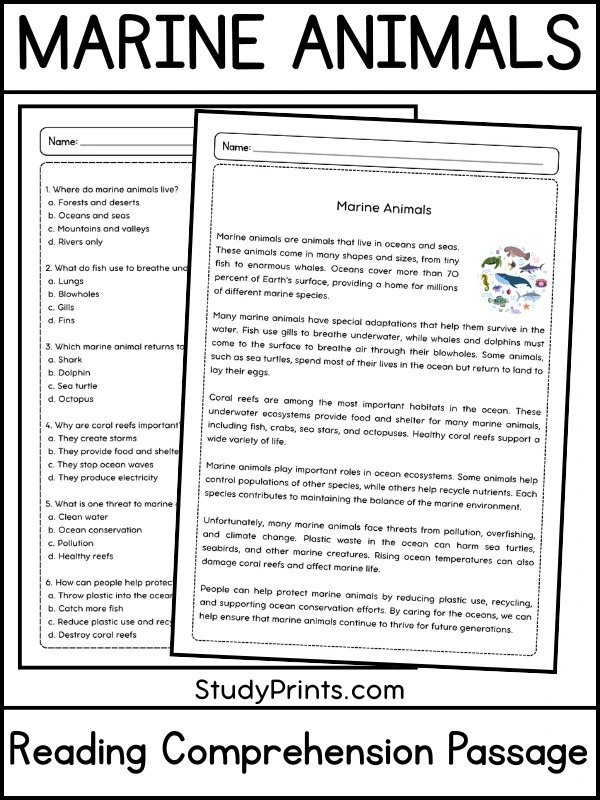 marine animals Reading Comprehension Passage and Questions | Printable PDF product image (1)