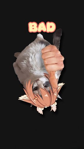 Don't listen to any advice the Birb gives you...