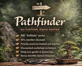🌲 Pathfinder
