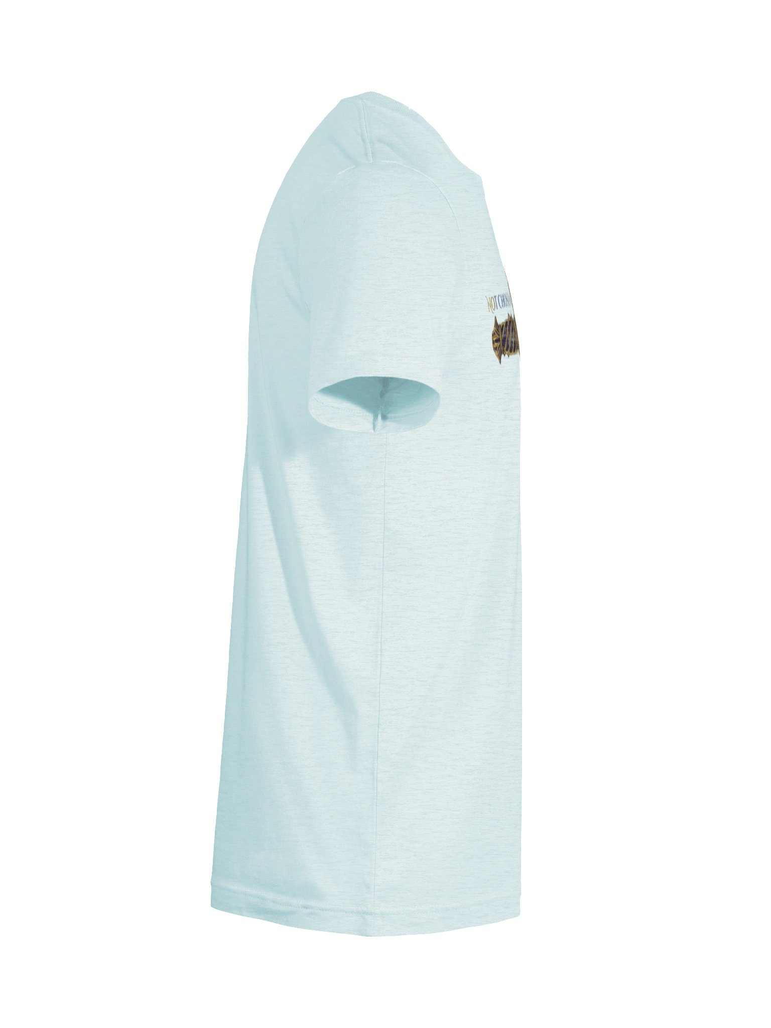 Anna Rosa Powerful Tee product image (7)