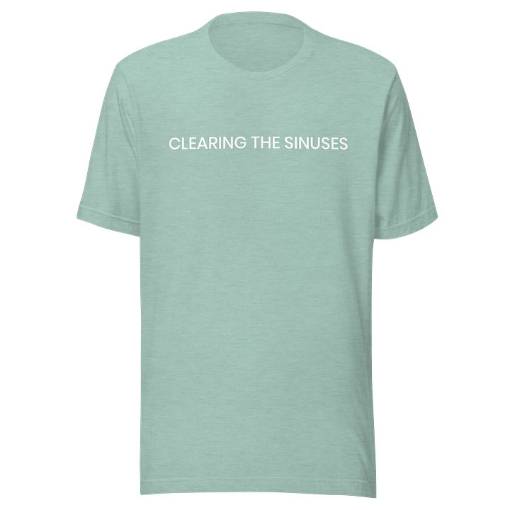 Clearing the Sinuses T-Shirt product image (13)