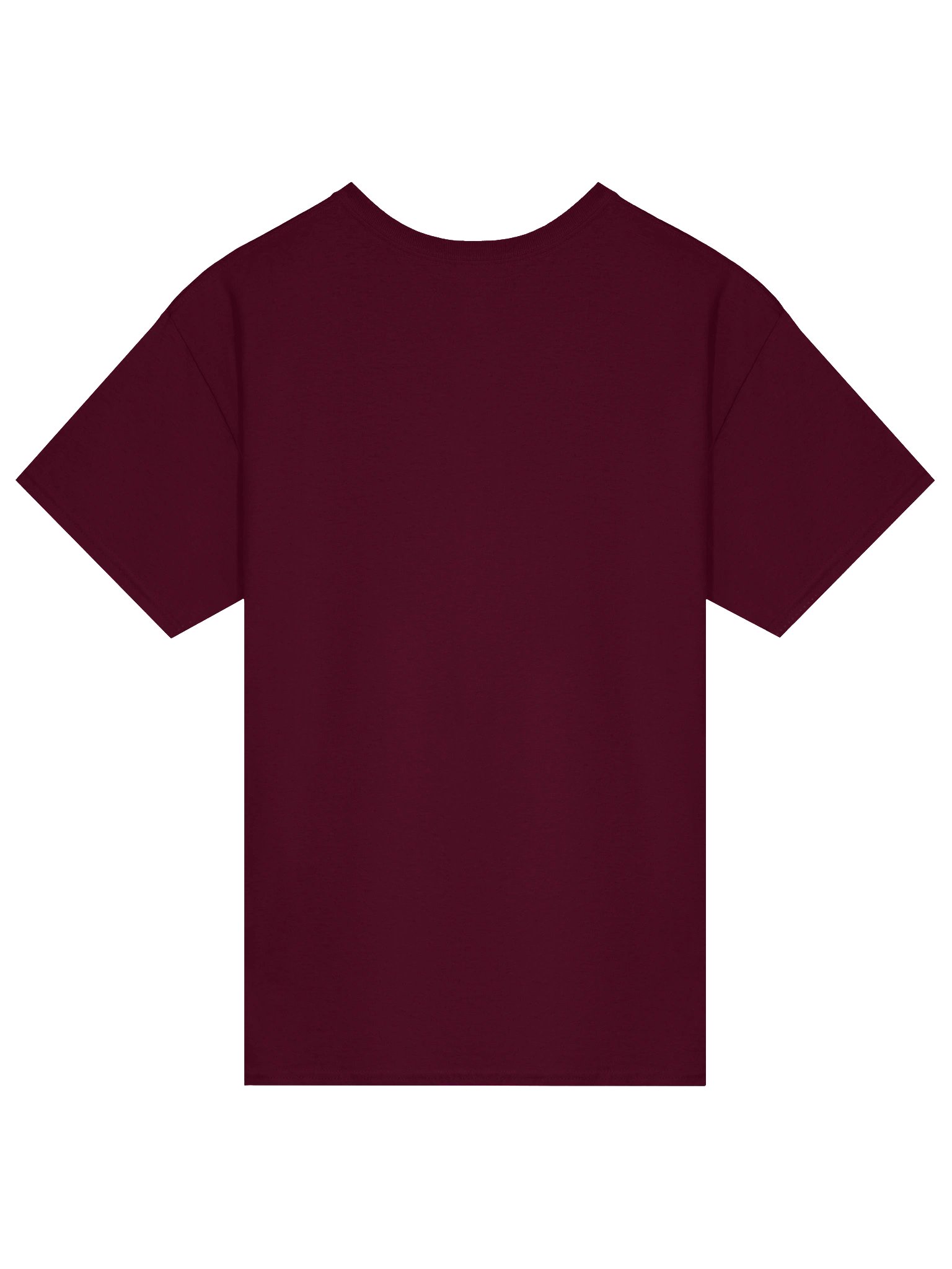 AppalShirt (Maroon) product image (4)