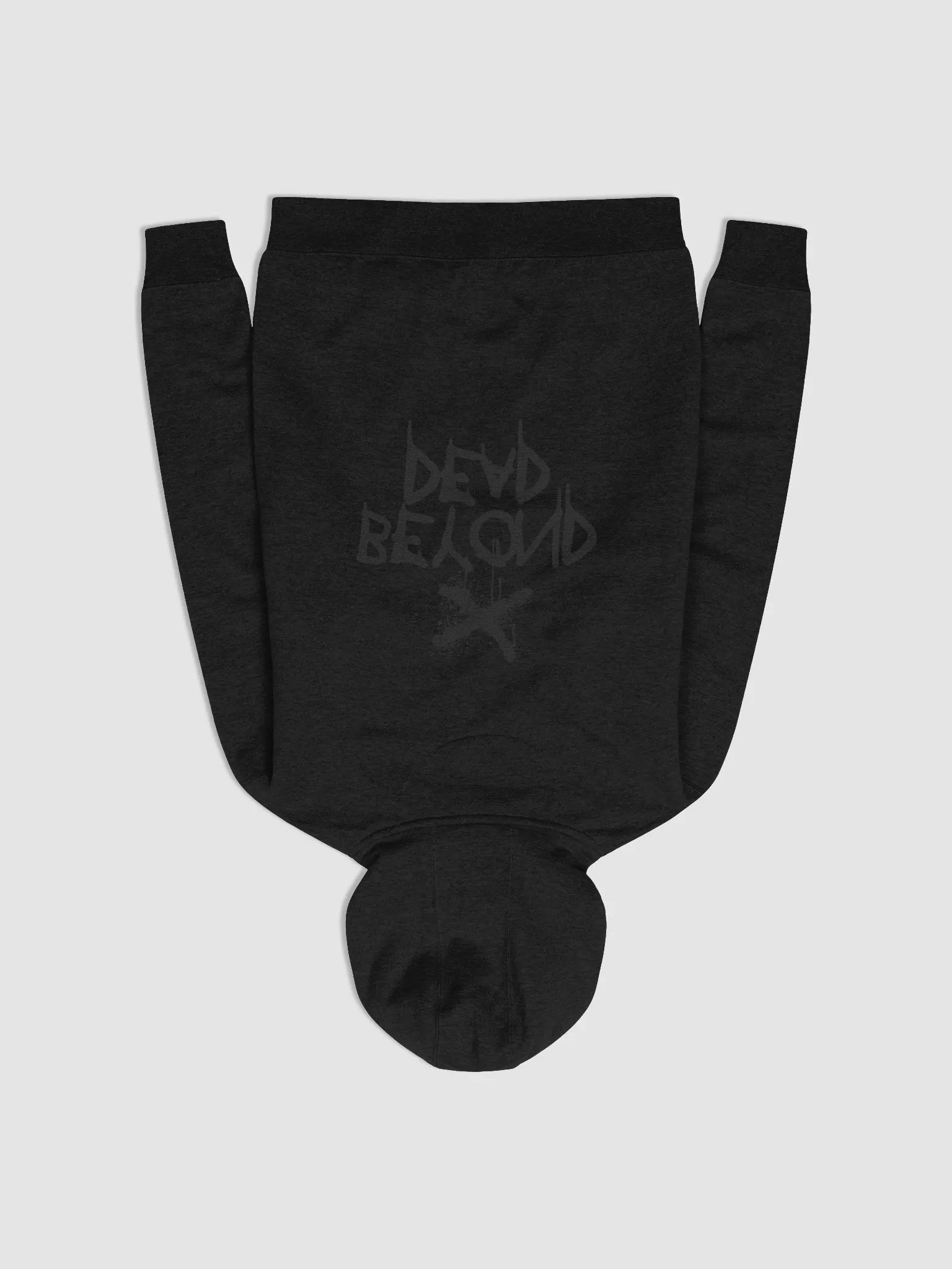 Beyond Dead Ghostin Hoodie product image (9)
