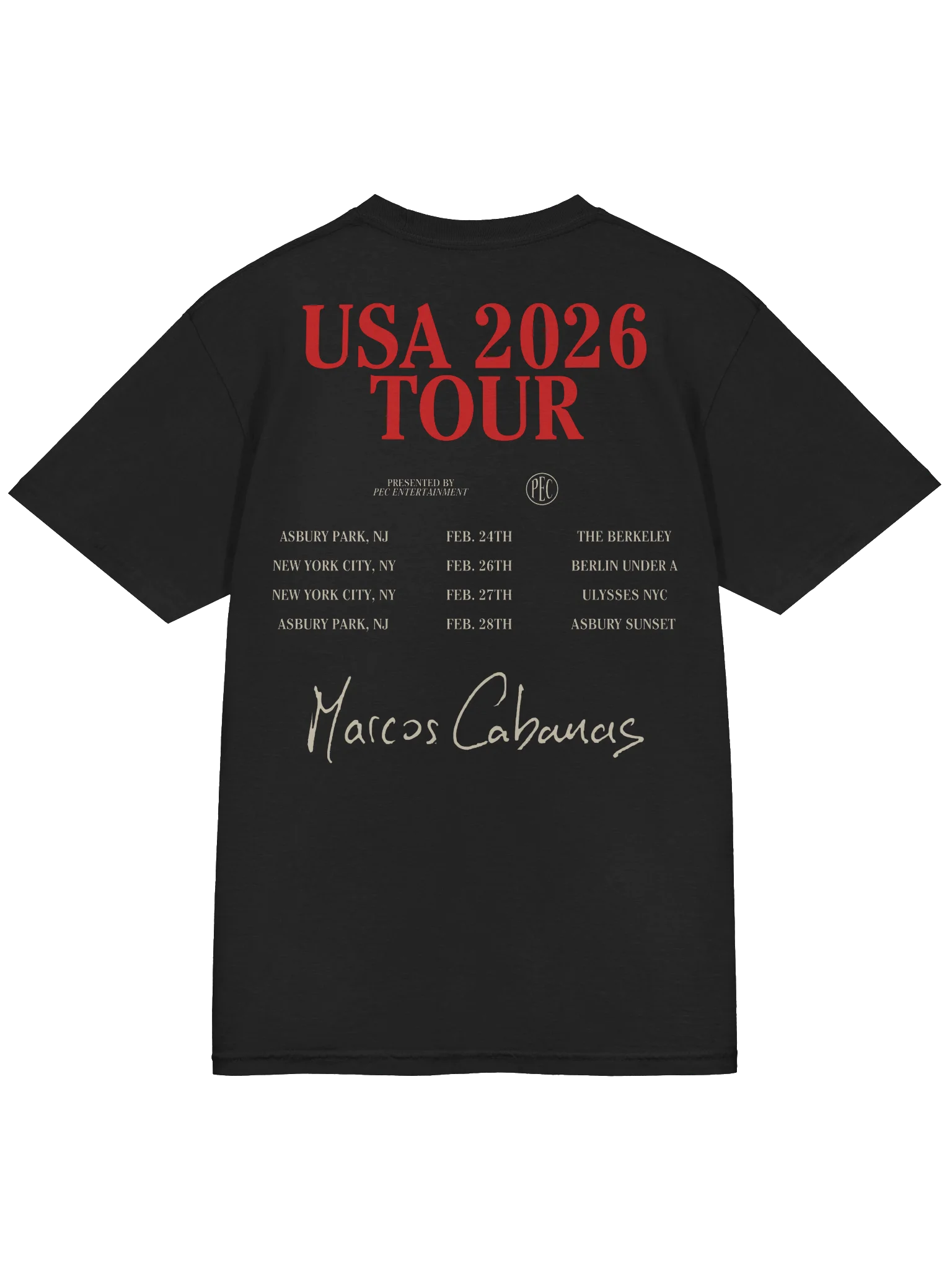 USA TOUR '26 TEE product image (4)