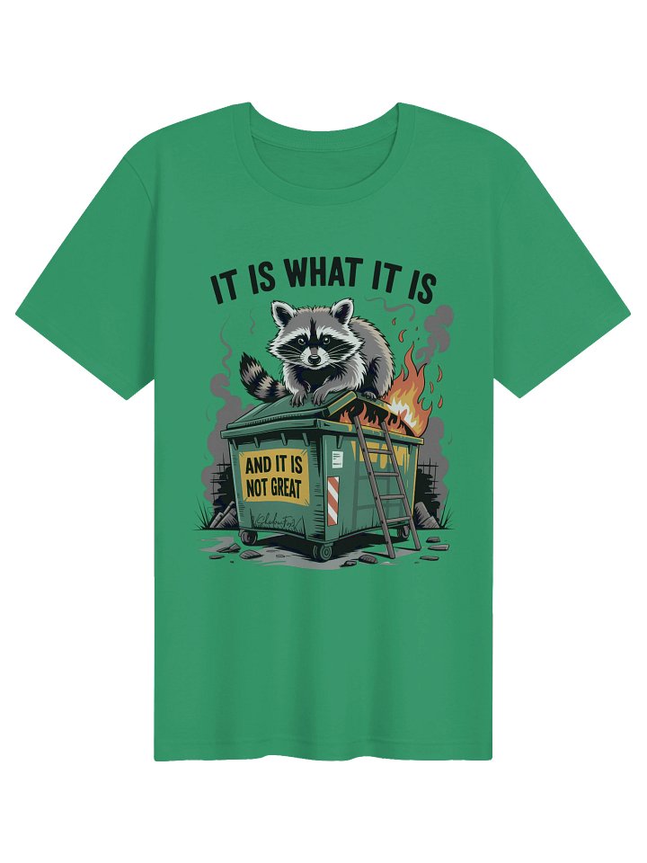 It Is What It Is (And It’s Not Great) Unisex T-Shirt product image (71)