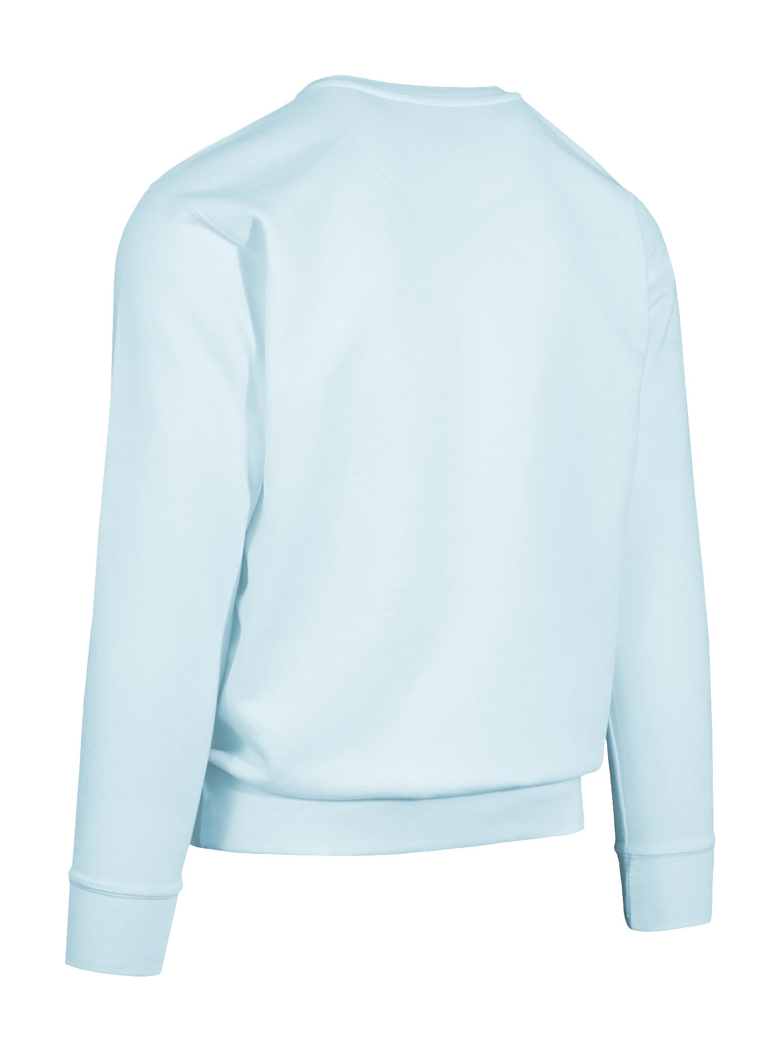 Where Every Day is a New Day Sweatshirt - Cotton Heritage product image (12)