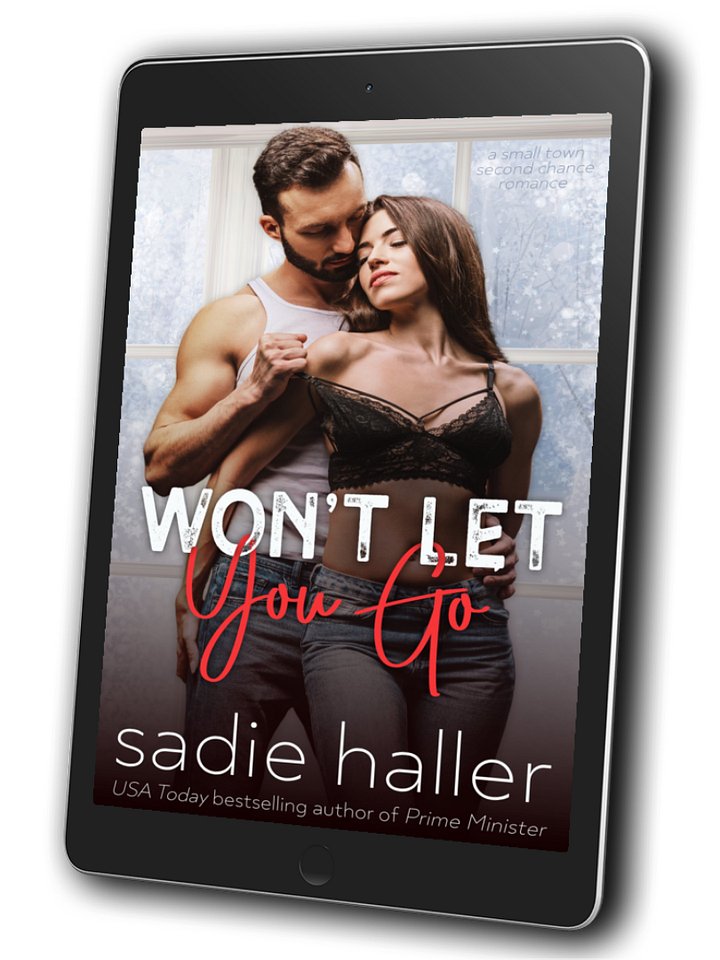 Won't Let You Go (Sin Valley 1) Ebook product image (1)