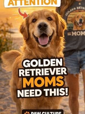 Golden Retriever moms… this is for you 🐶💛 Turn your dog into a custom t-shirt you can wear every day. 🔥 50% OFF your second shirt — limited time Perfect for you + a friend or a second pup. Upload your dog & create yours now 👇 #goldenretriever #dogmom #goldenmom #doglover #customshirt #petlovers #fyp #foryou #usatok #dogsoftiktok#foryoupagee #dogmom #goldenmom #us #usatiktok🇺🇸 #dogsoftiktokviral🐶🦮 #foryoupage❤️❤️ #usedmobile1 #goldenlove #dogloverforever #viralvideotiktok #retrieverlife #golde #dog #goldendoodlepuppy #goldendoodle #goldenmilk #dogsofinstagram #dogmoms