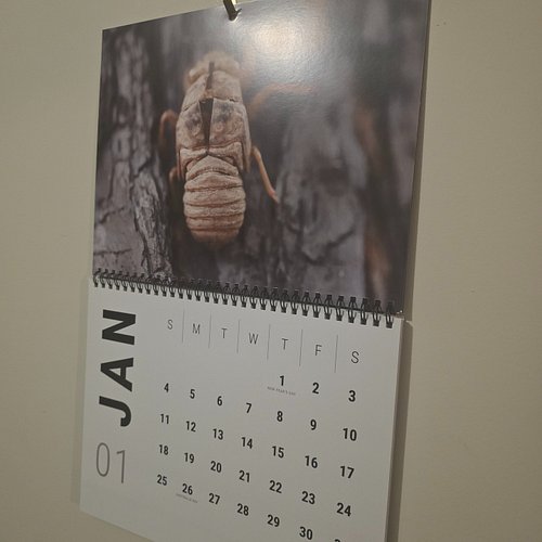 This months photo in the animal #calendar