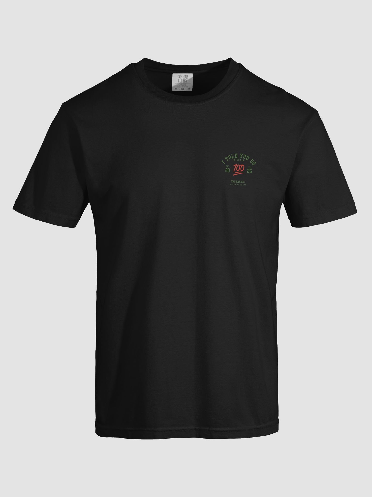 I Told You So Small Logo Basic Tee product image (44)