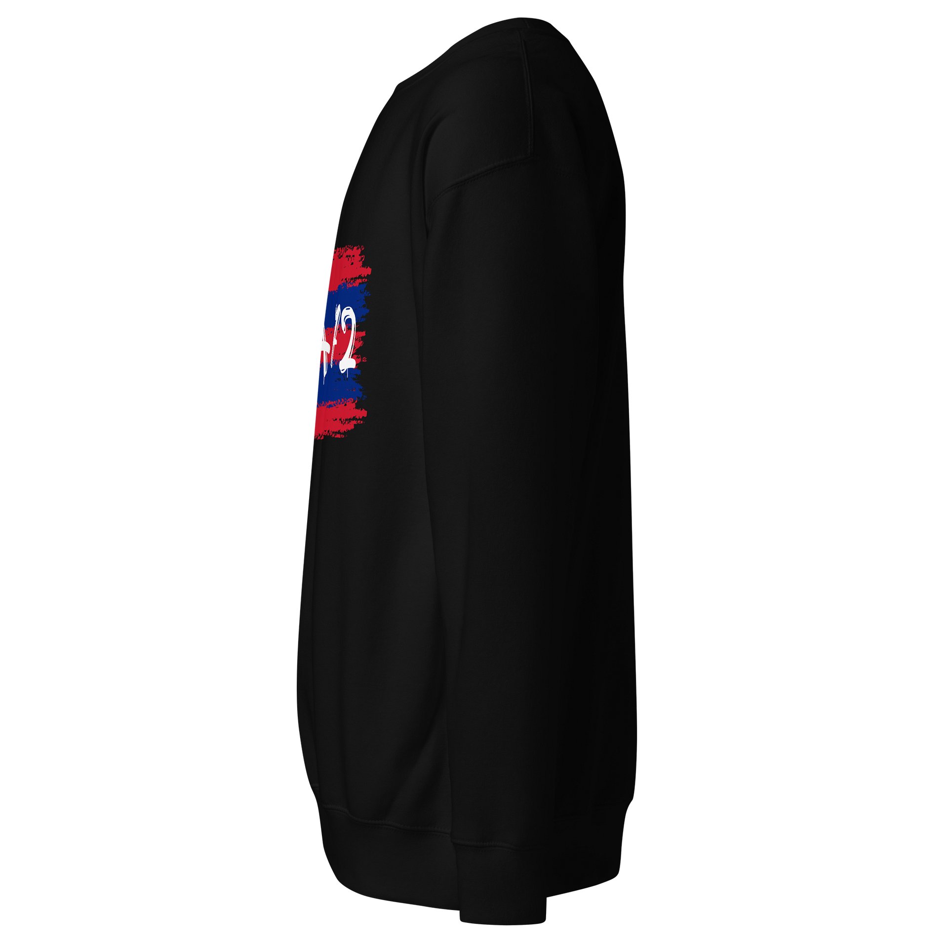 POA 72 Brush-Stroke Sweatshirt product image (10)