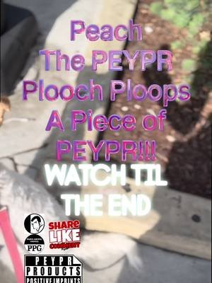📄WARNING : PEYPR SPAM INCOMING📄 #PEYPR #FollowThePeyprTrail #PublishYourPeyprTrail #EveryoneNeedsPEYPR #ExploreMore