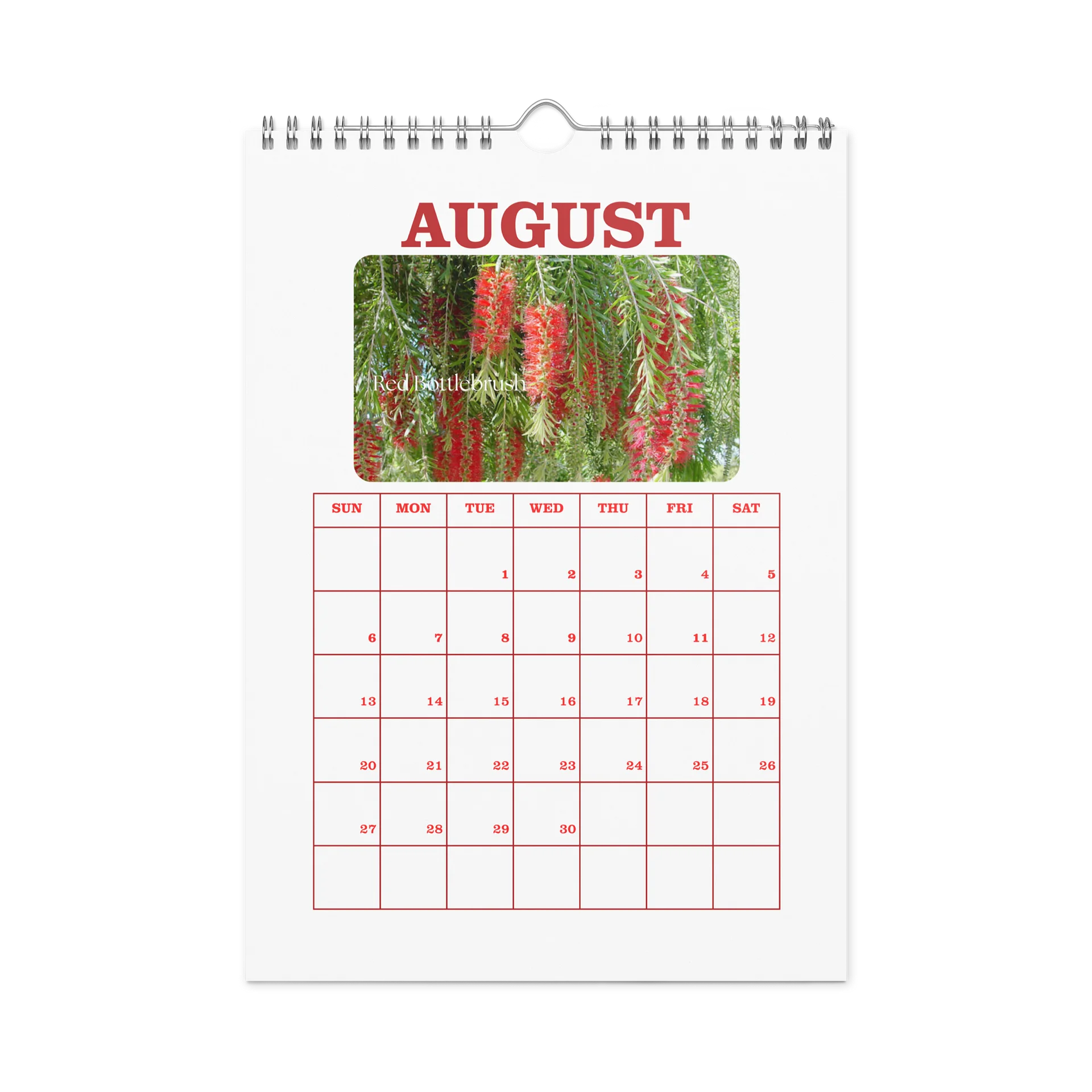2027 - PRIDE WITH AUSTRALIAN NATIVE FLORA - Wall Calendar product image (2)