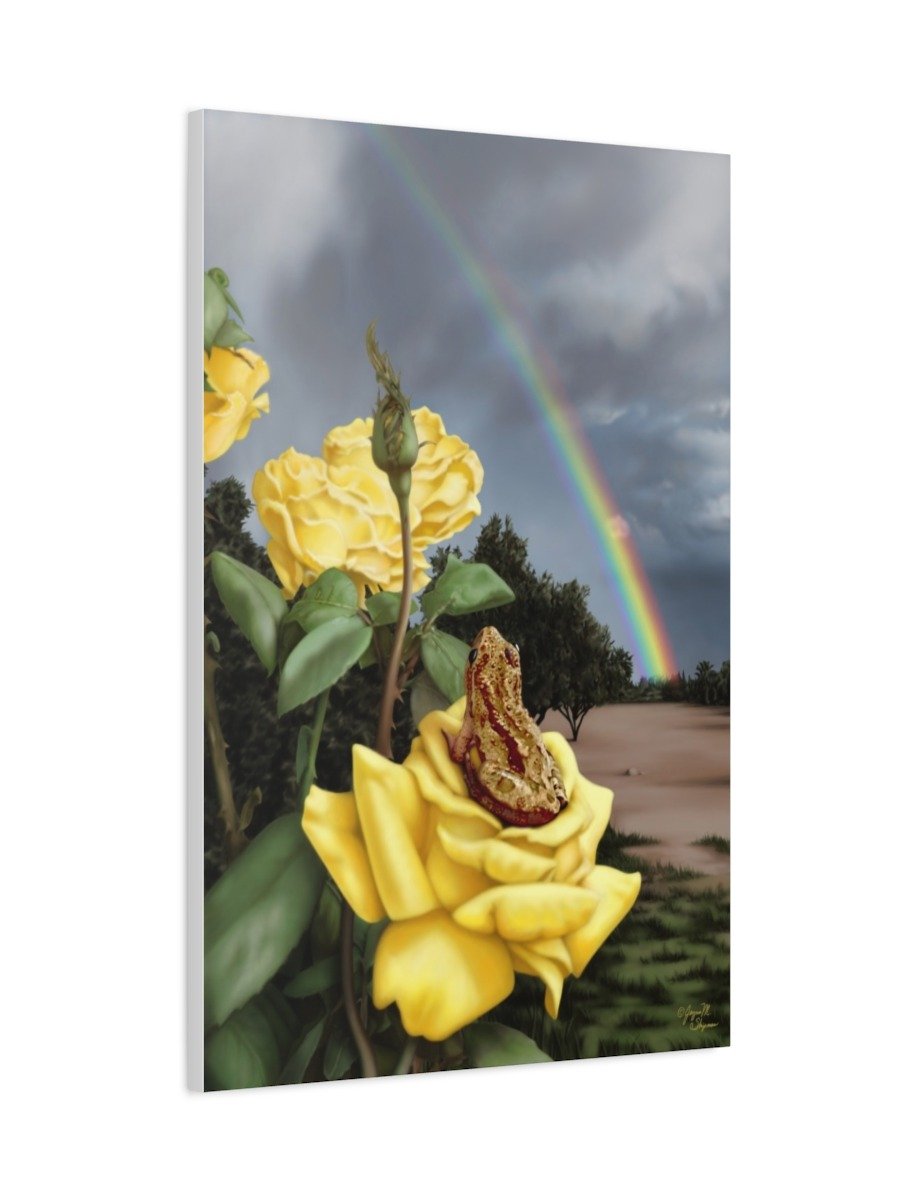 Wonder Frog: Desert Rainbow Fine Art Print 24x36 product image (1)