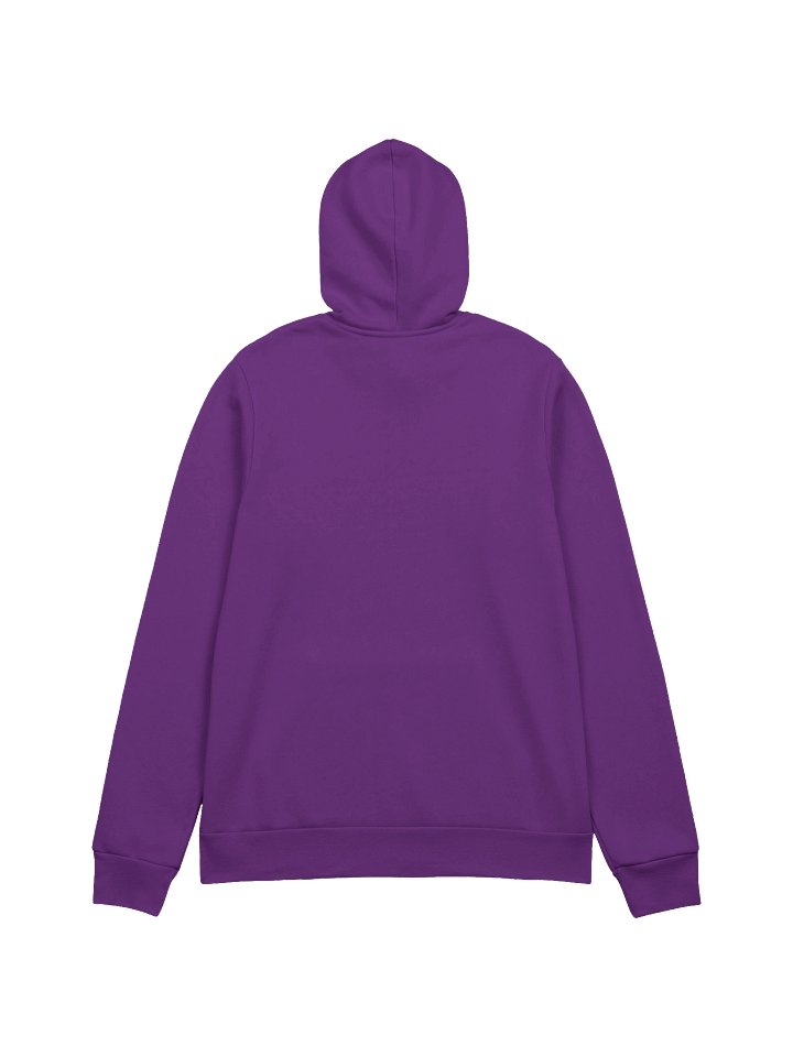CS Hoodie product image (38)