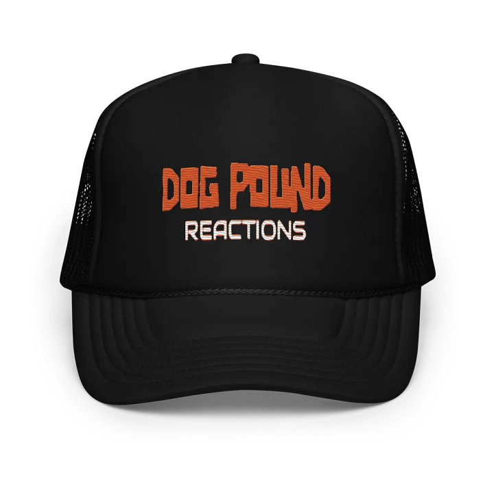DPR Logo Hat product image (1)