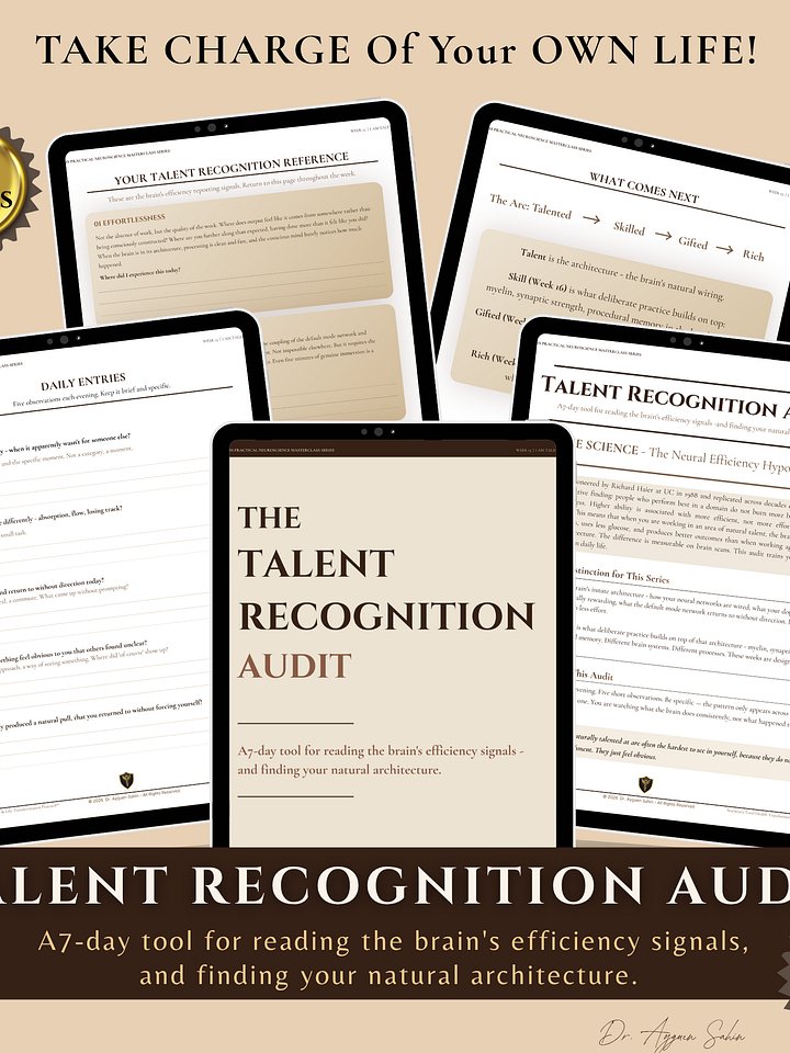 TALENT RECOGNITION AUDIT product image (1)