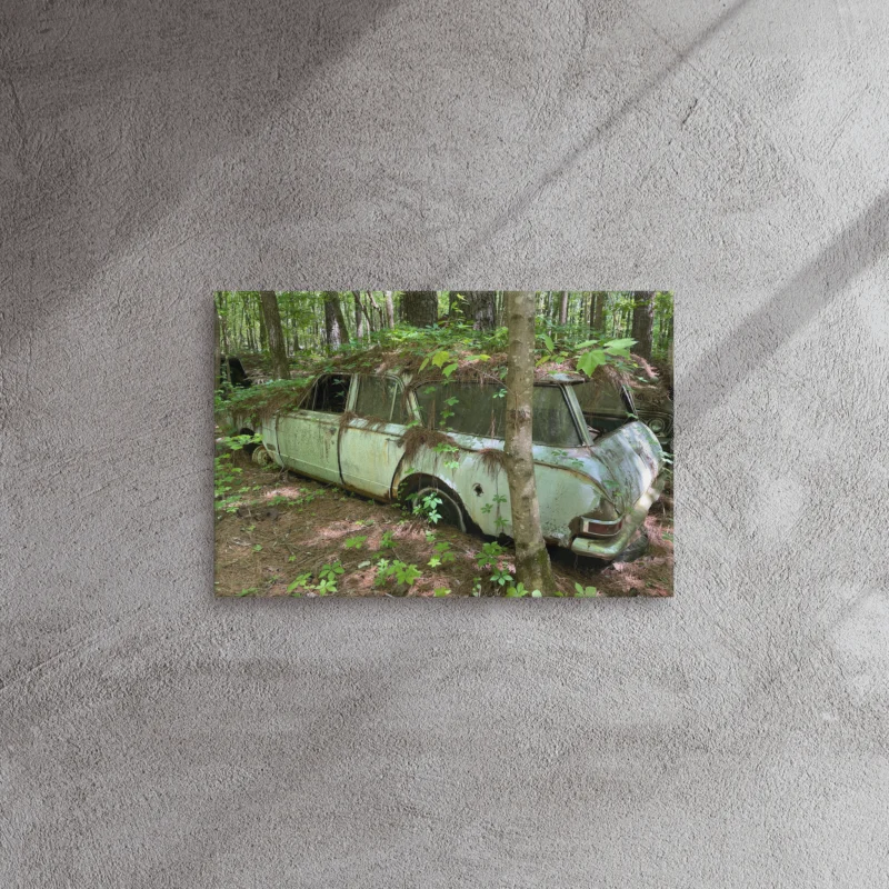 Old Car City USA – Nature Takes the Wheel product image (4)