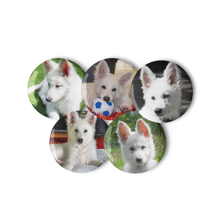 Rasta Baby Pins product image (3)