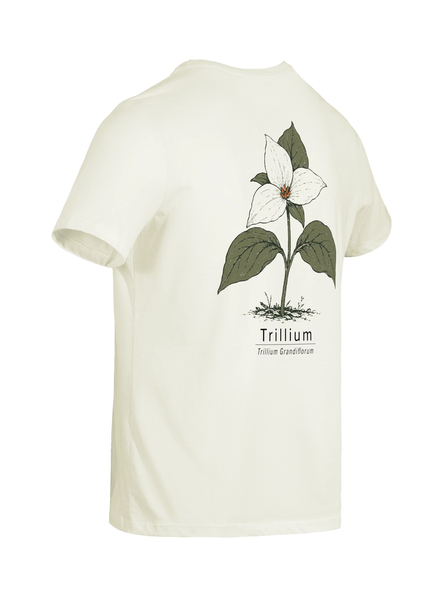 Trillium Women's Relaxed Tee product image (10)