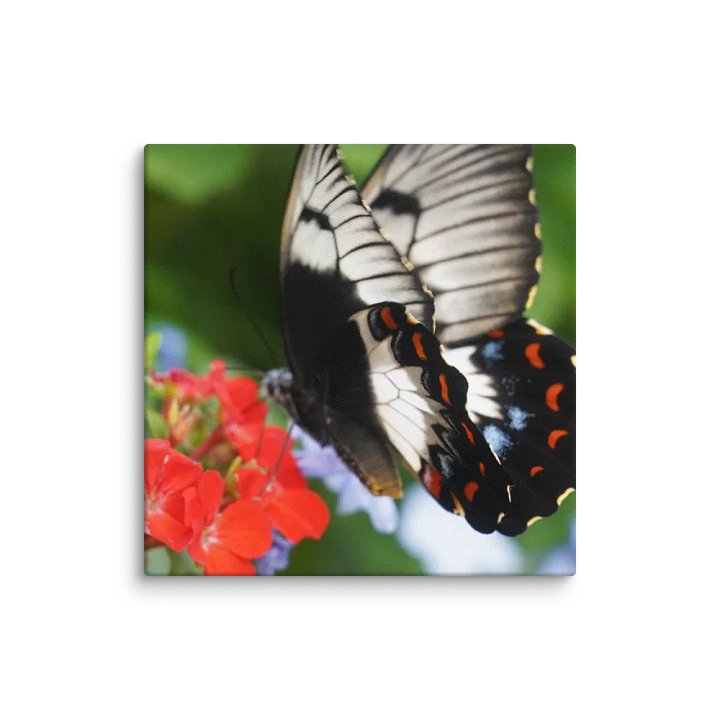 Butterfly on a Canvas product image (1)