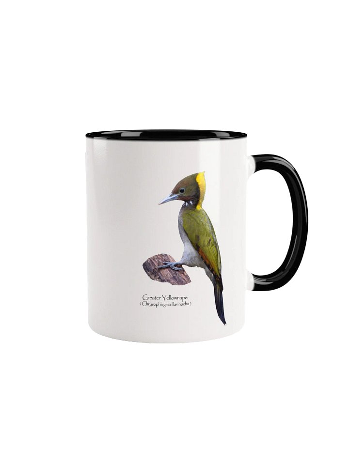 Greater Yellownape mug product image (3)
