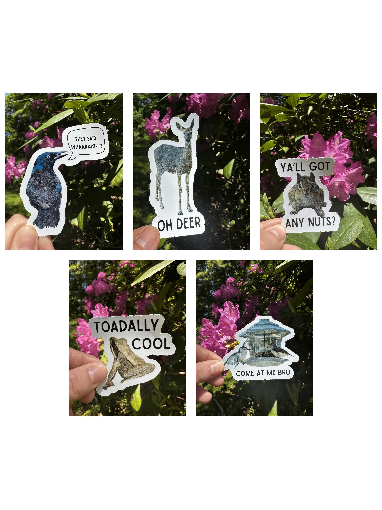 Funny Stickers Bundle Offer product image (1)