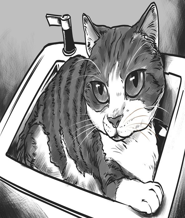 Pets
