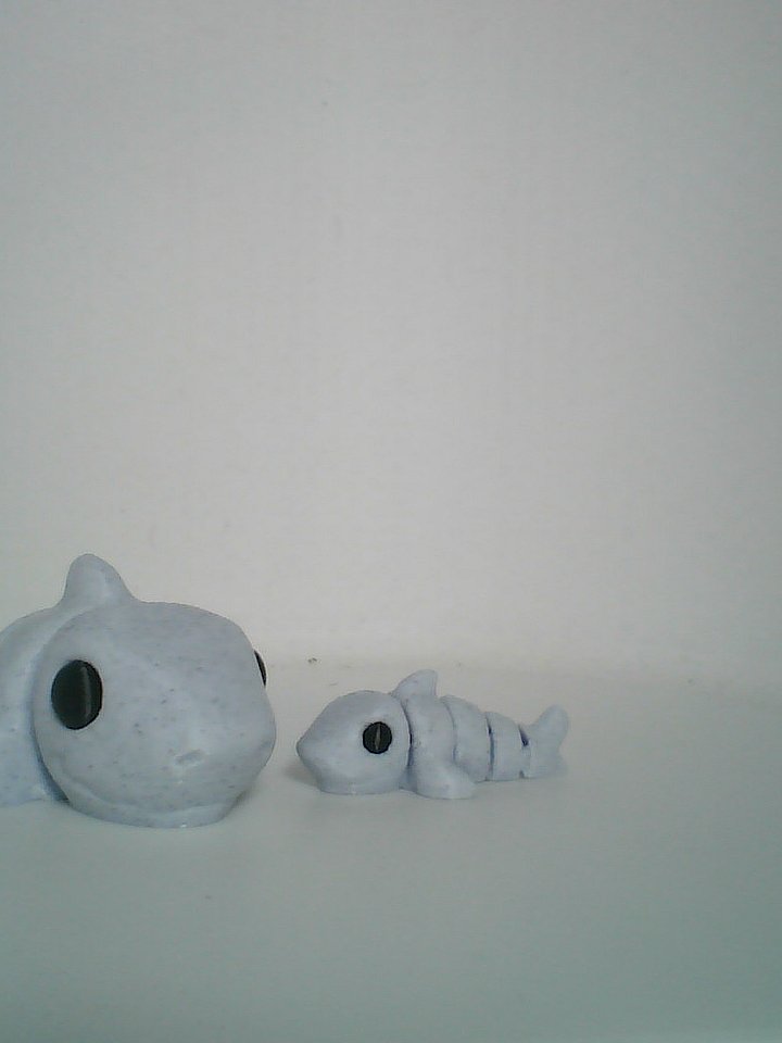 Shark product image (1)