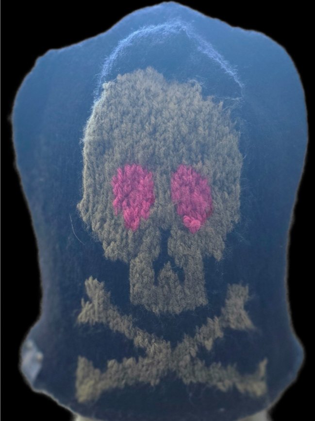 Airrids' Skull hats!!-Made to order product image (5)