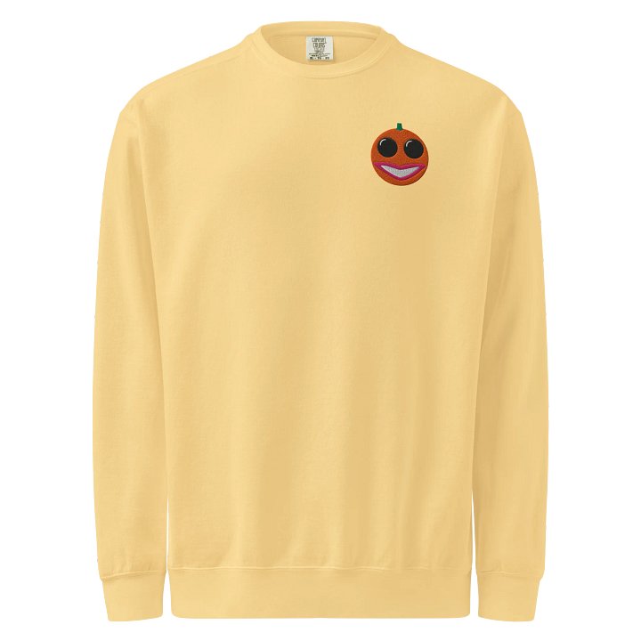 Emroidered Sexy Orange Sweatshirt product image (9)